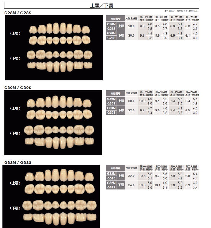 商品説明画像：形態見本