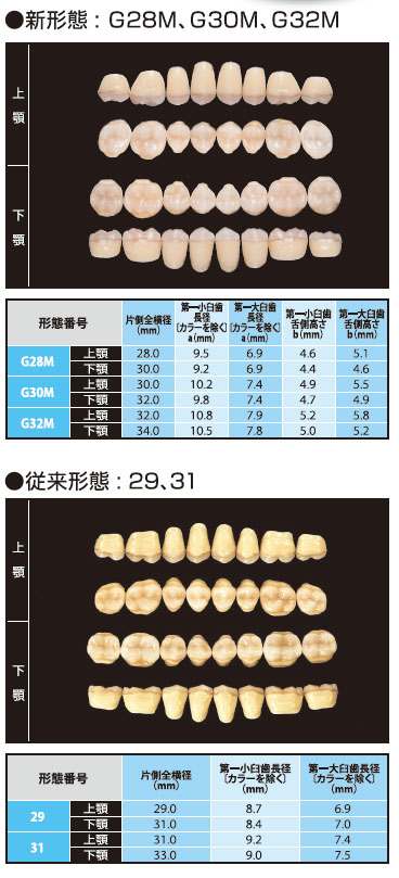 商品説明画像：形態見本